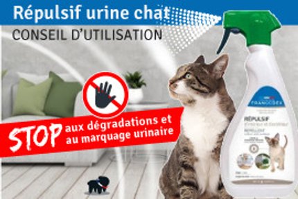 Répulsif pour urine chat : conseil d'utilisation !