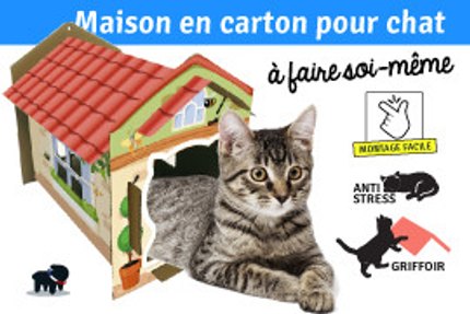 Maison en carton pour chat, facile à faire soi-même ?
