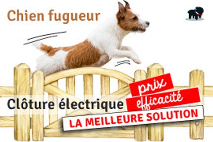 Quelle Clôture électrique pour chien choisir ? Test, efficacité !