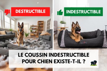 coussin chien indestructible