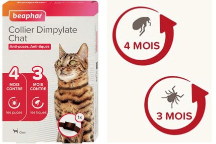 Collier anti puce chaton : À partir de quel âge ? Quelle efficacité !