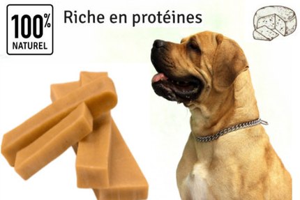 Fromage de yak pour chien, Pourquoi un tel succès ?
