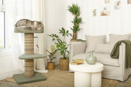 arbre à chat