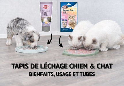 Tapis de léchage chien & chat : bienfaits, usage et tubes