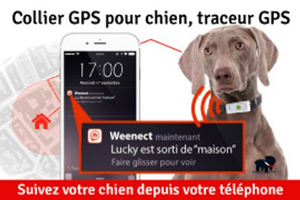 Collier GPS pour chien, traceur GPS, toutes les fonctions !