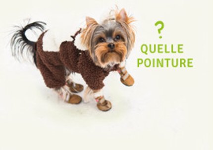 Quelle taille de chaussures pour mon chien ?