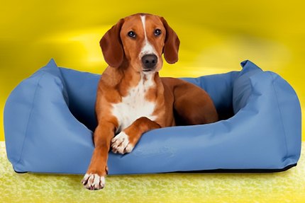 Panier pour chien