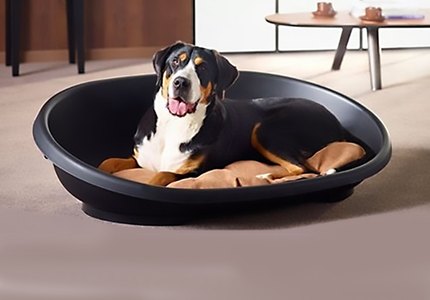 panier plastique chien