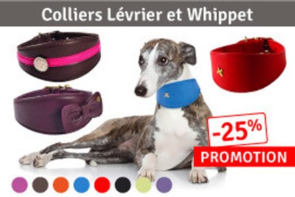 Collier lévrier