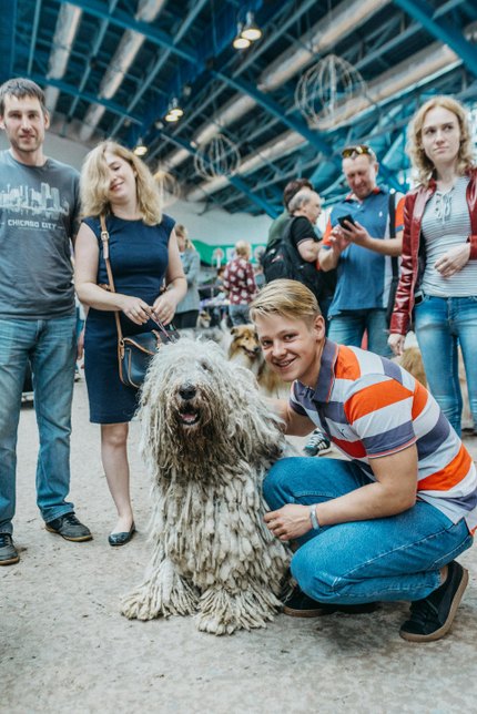 Komondor