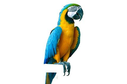 Ara