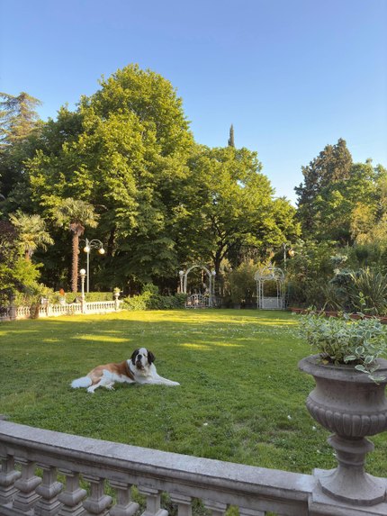 Saint-Bernard