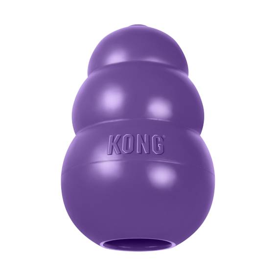 Jouet KONG Senior pour Chien