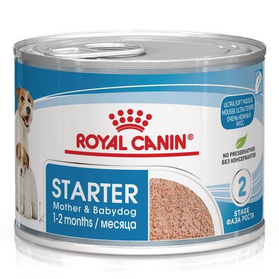 ROYAL CANIN Starter Mousse Mère Chiot
