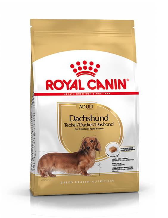 ROYAL CANIN Croquettes Teckel Adult