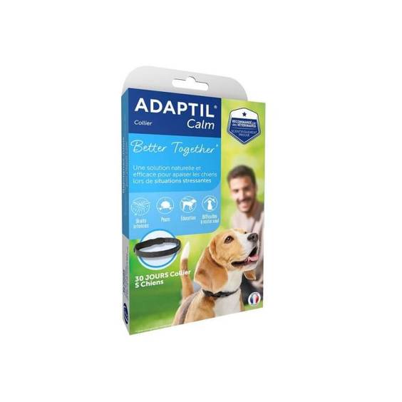 Collier d'apaisement pour chien