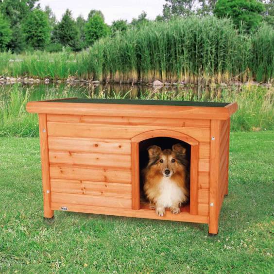 Niche Toit Plat Medium pour chien