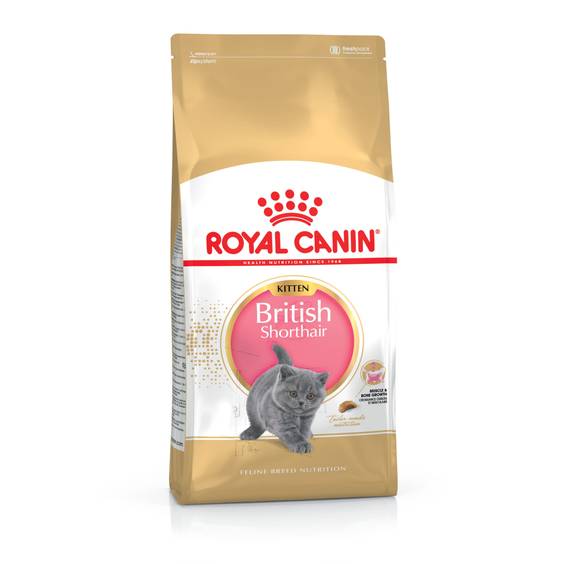 ROYAL CANIN Croquettes Kitten British Shorthair chaton