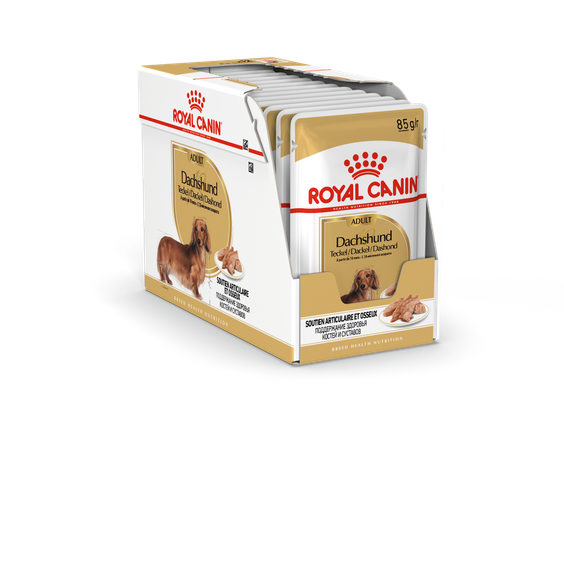 ROYAL CANIN Sachet fraîcheur Teckel (Dachshund) 12 x 85 g