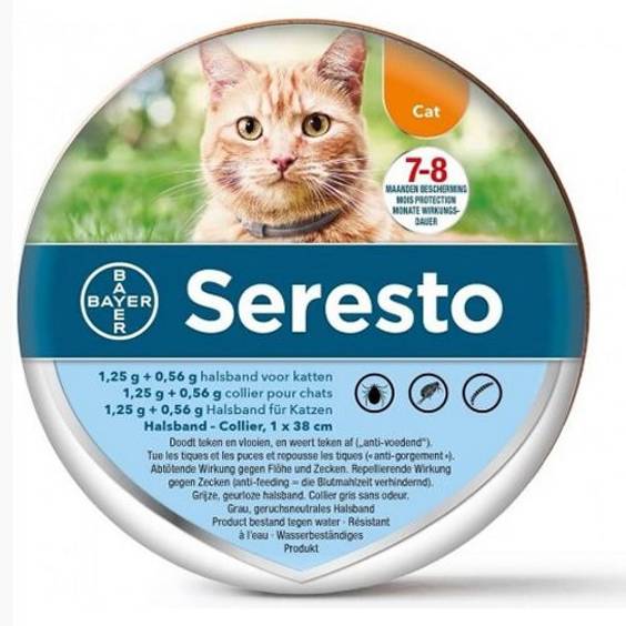 Seresto Collier pour chat