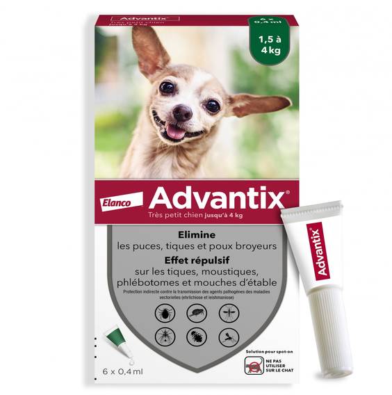Pipette anti puce pour petit chien