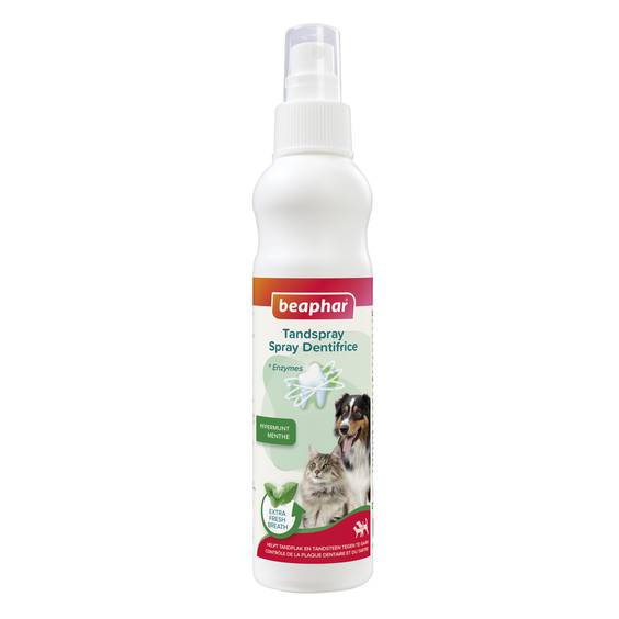 Spray dentifrice chien et chat - flacon 150 ml Beaphar