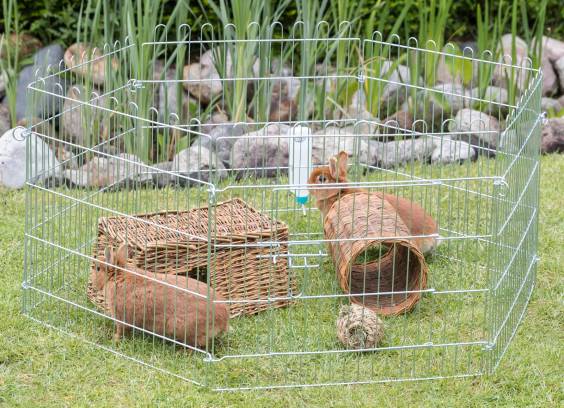 Enclos métal extérieur pour rongeur