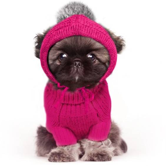 Milk & Pepper Pull Cocoon rose taille 24 pour chien