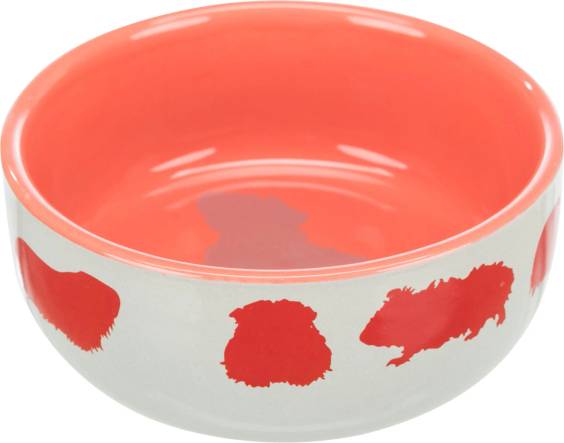 Gamelle pour cochon d'Inde en céramique color