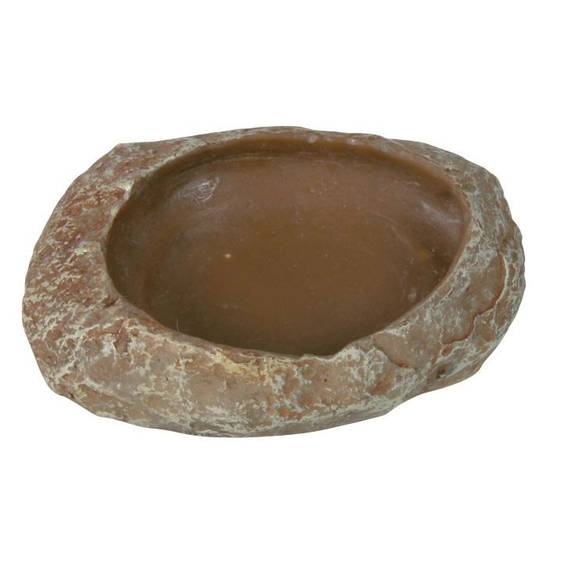 Écuelle escalier de roche pour reptile