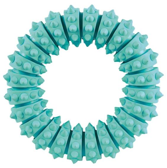 Jouet anneau Denta Fun Mintfresh pour chien