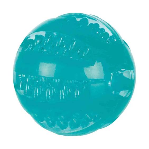 Balle TPR flottante Denta Fun Mintfresh pour chien