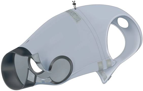 Body de protection pour chien