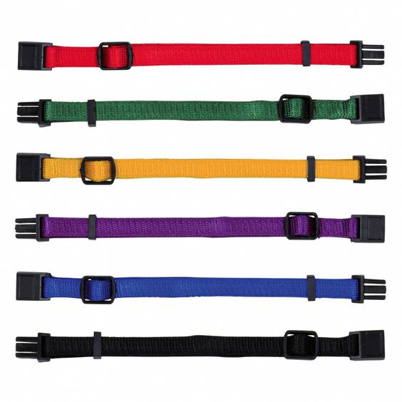 Collier d'identification chiot naissance set 2