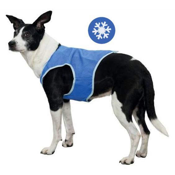 Manteau rafraîchissant pour chien