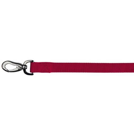 Laisse Expérience rouge M/L pour chien