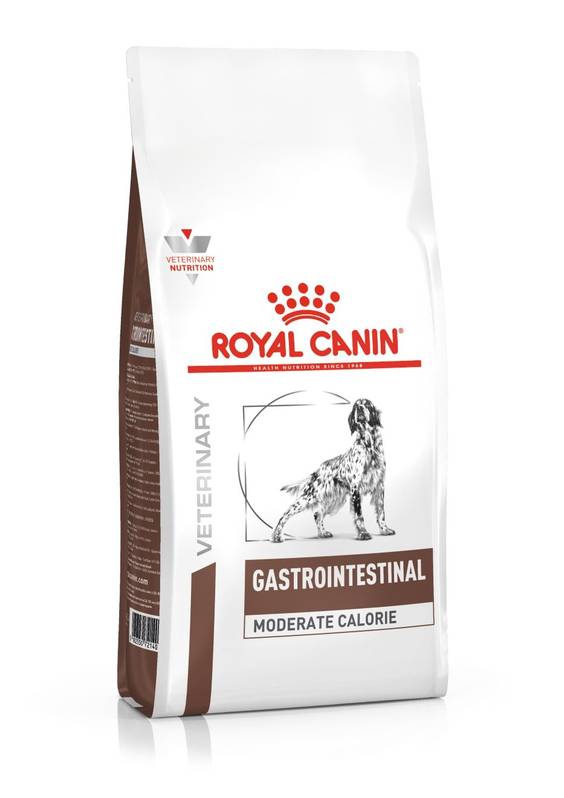 ROYAL CANIN Veterinary Diet Gastro Intestinal Moderate pour Chien