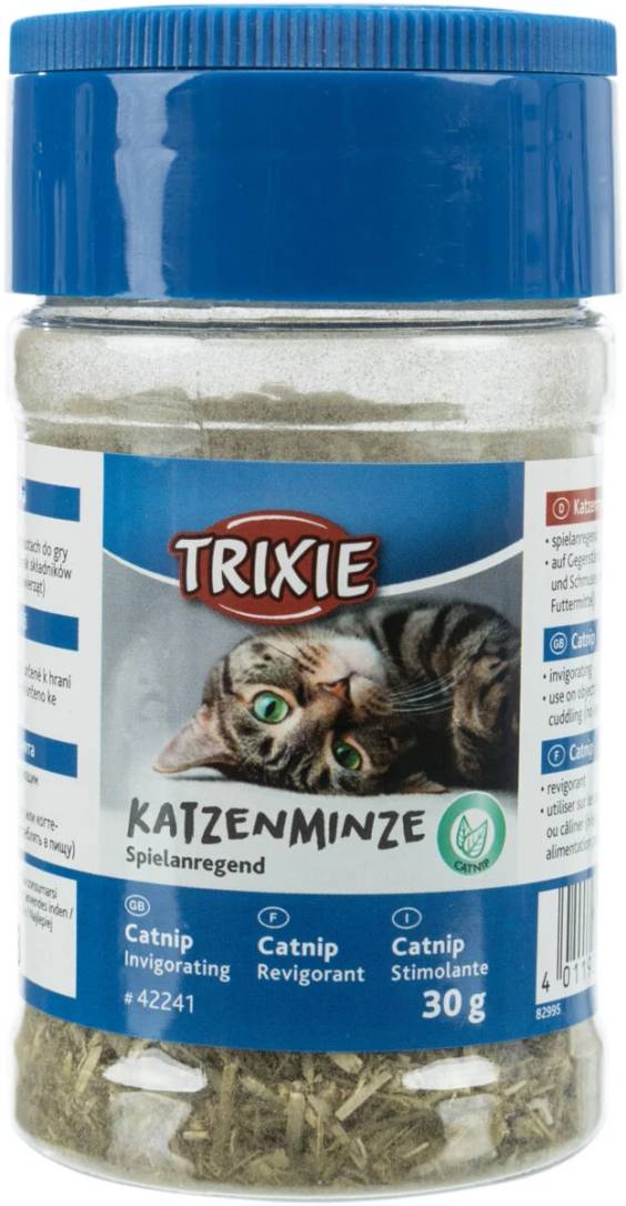 Herbe à chat Catnip saupoudreuse