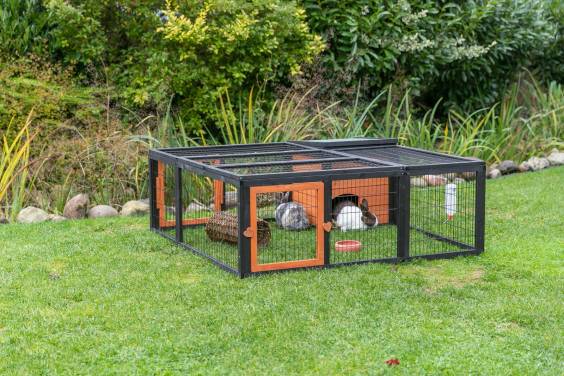 Enclos lapin XL avec toit Natura noir