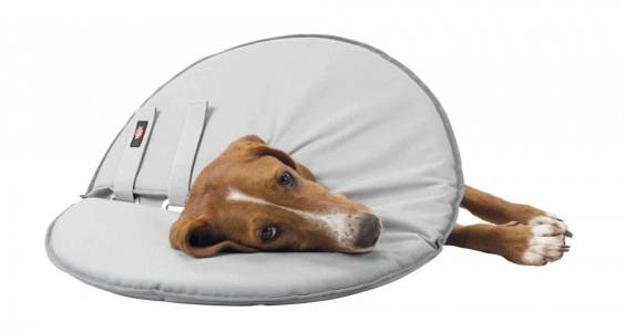 Collerette de protection en mousse pour chien et chat