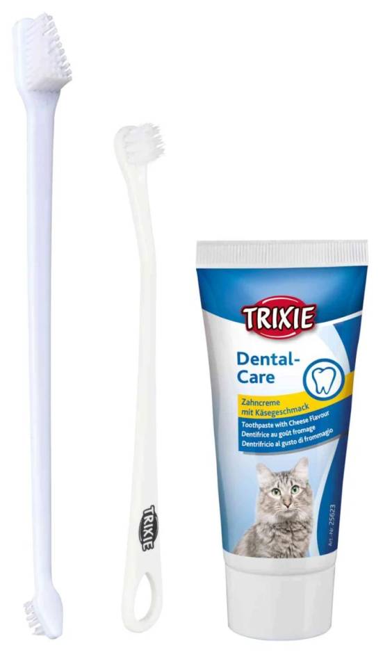 Set hygiène dentaire chat