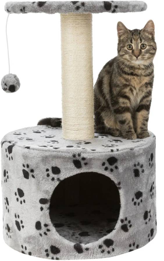 Petit arbre à chat et chaton Toledo gris