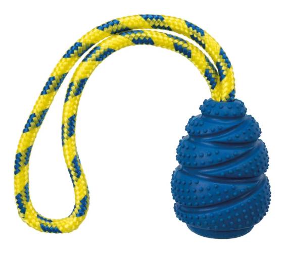 Sauteur sur corde pour chien