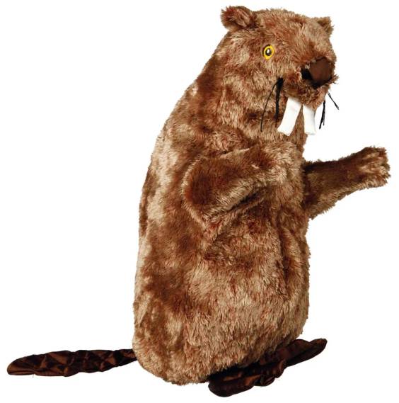 Peluche doudou Castor 40 cm pour chien
