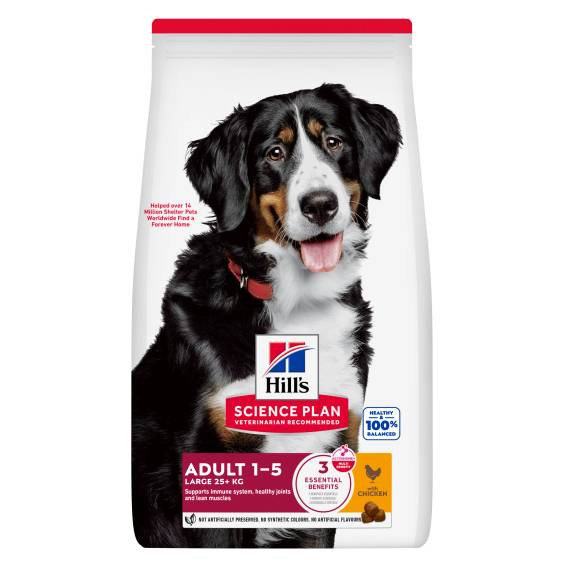 Hill's Science Plan croquettes Adult Large Breed Poulet pour Chien
