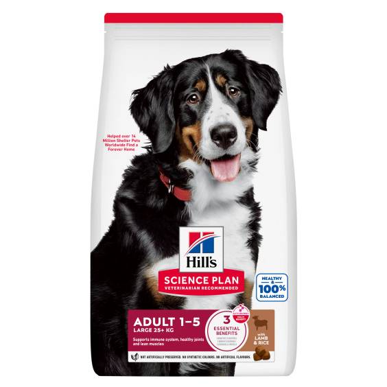 Hill's Science Plan croquettes Adult Large Breed Agneau & Riz pour Chien