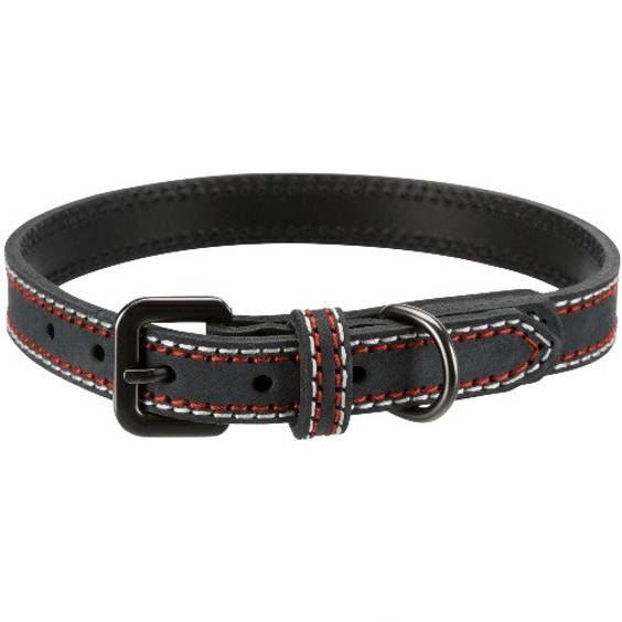 Collier Native en cuir pour chien