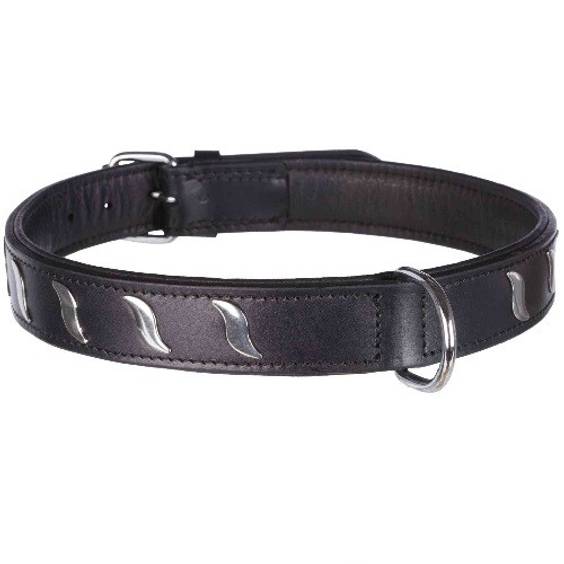 Collier Active Noir pour chien Trixie