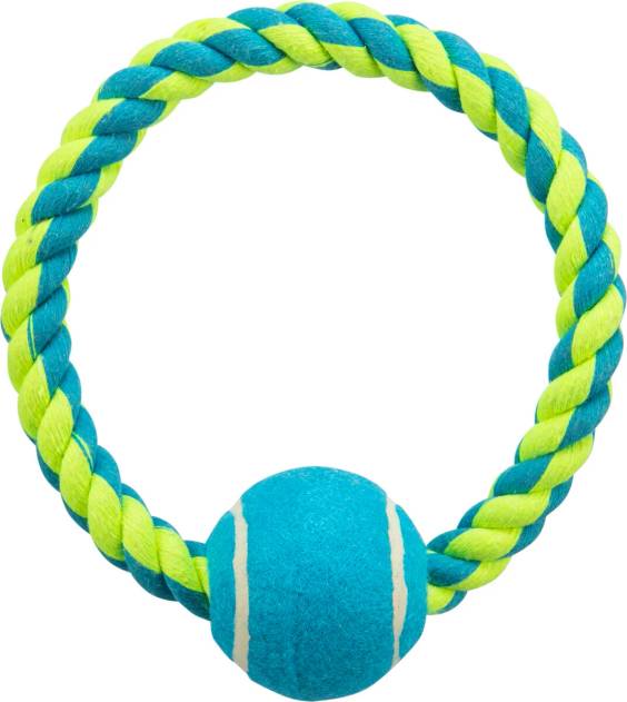 Jouet corde de jeu balle de tennis pour chien