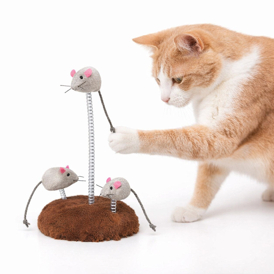 Souris sur ressorts en spirale pour Chat